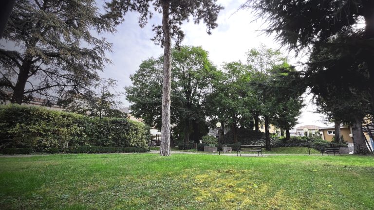 Prato verde con alcuni alberi e una collinetta coperta da edera.